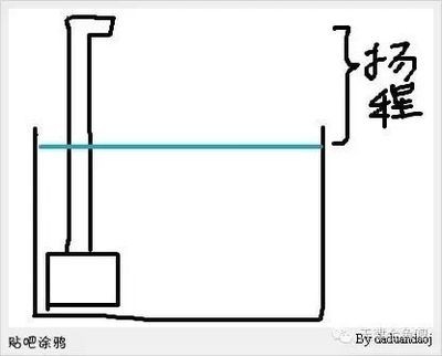 紅龍魚一年長(zhǎng)多少厘米正常呢視頻教學(xué)（紅龍魚一年長(zhǎng)多少厘米正常呢視頻教學(xué)）