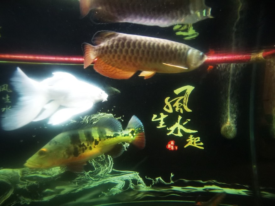 好久沒記錄了