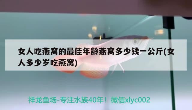 泰國虎魚和泰北虎魚的區(qū)別，印尼虎魚和泰國虎魚的區(qū)別