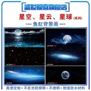暗黑魚缸造景技巧：暗黑風(fēng)格的魚缸造景技巧