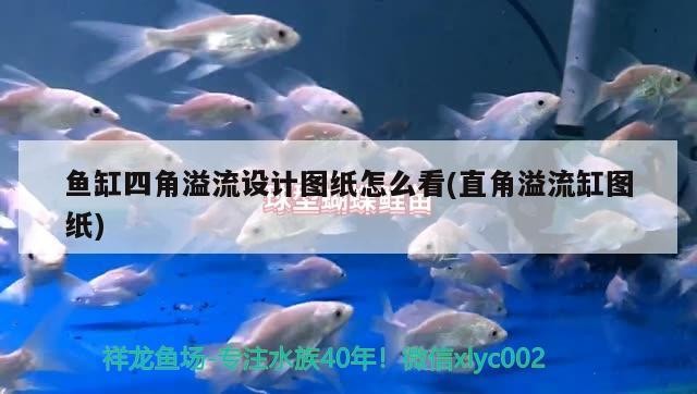重慶市江北區萬幫水族館（重慶市江北區萬幫水族館電話）