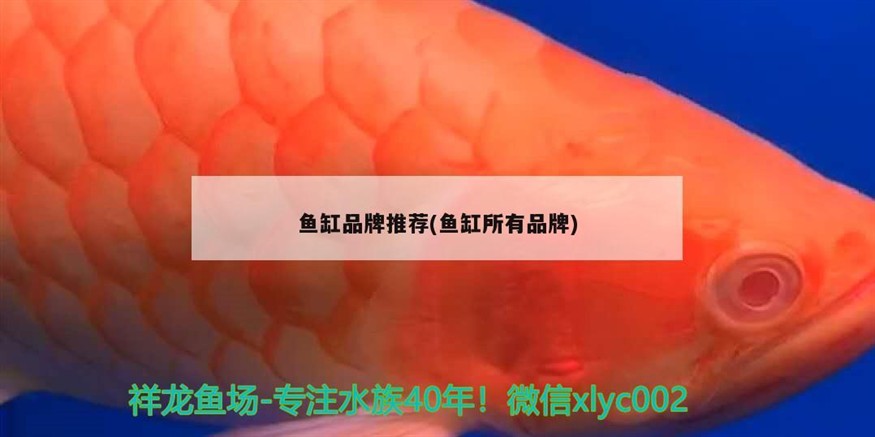 重慶市江北區萬幫水族館（重慶市江北區萬幫水族館電話）