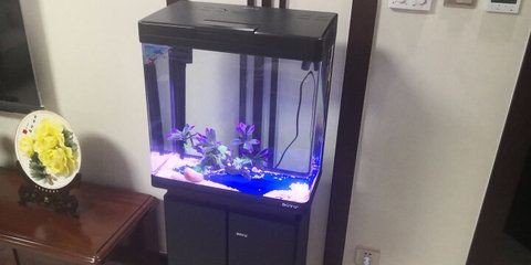 博宇魚缸過濾器安裝師范圖：博宇魚缸過濾器安裝步驟和注意事項