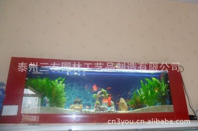 玻璃魚缸使用壽命幾年啊：如何保養玻璃魚缸以延長使用壽命
