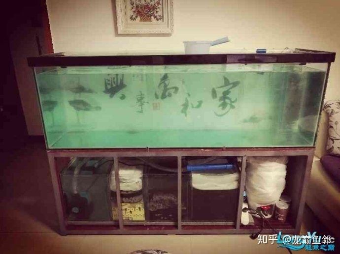 玻璃魚缸使用壽命幾年啊：如何保養玻璃魚缸以延長使用壽命