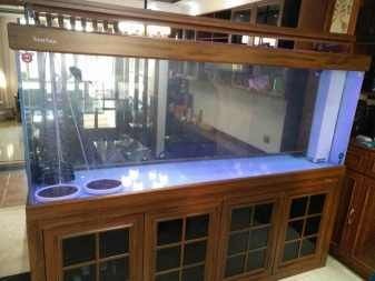搬運魚缸綁繩技巧視頻：魚缸搬運技巧