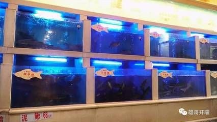 超大型魚王魚缸：關于超大型魚王魚缸的介紹