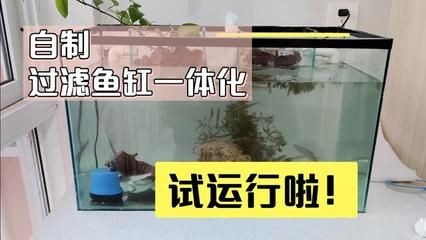 玻璃魚缸的制作方法：diy玻璃魚缸的基本步驟和注意事項