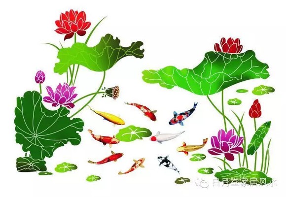 長(zhǎng)沙市芙蓉區(qū)聚水緣水族器材銷售部（長(zhǎng)沙市芙蓉區(qū)聚水緣水族器材銷售部電話）