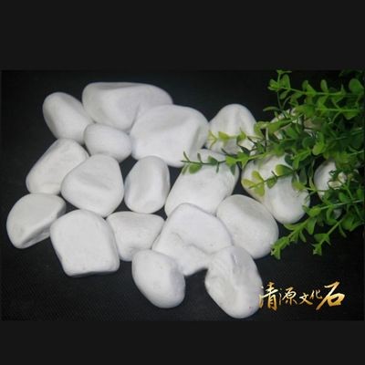 白玉石子可以放魚缸里嗎：白玉石可以放魚缸里嗎？