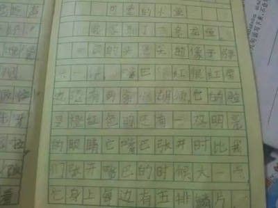 龍魚的選擇和鑒賞作文300字