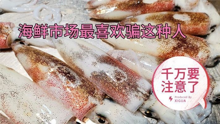 泰安市泰山區慧豪水族館（泰安市泰山區慧豪水族館電話）