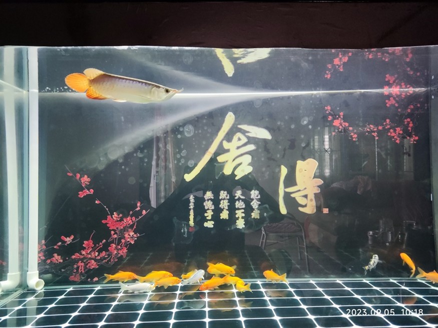 記錄一下，收到后四小時開口小2個??，第二天1個??