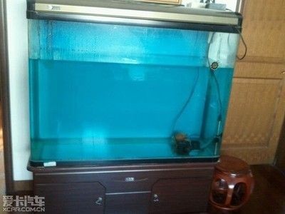 大型魚缸回收廠家直銷：大型魚缸回收廠家
