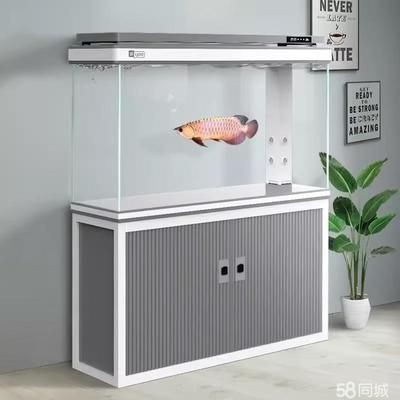 大型魚缸回收廠家直銷：大型魚缸回收廠家
