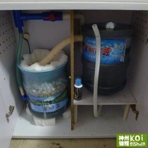 純凈水桶改造魚缸效果圖：如何將純凈水桶改造成魚缸