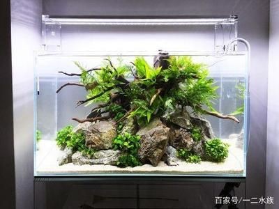 成品底濾魚缸改造成草缸視頻：底濾魚缸改造為草缸的步驟