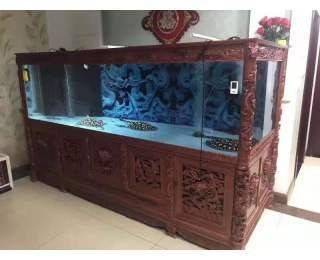大型魚缸搬運(yùn)注意事項(xiàng)視頻：關(guān)于大型魚缸搬運(yùn)的注意事項(xiàng)