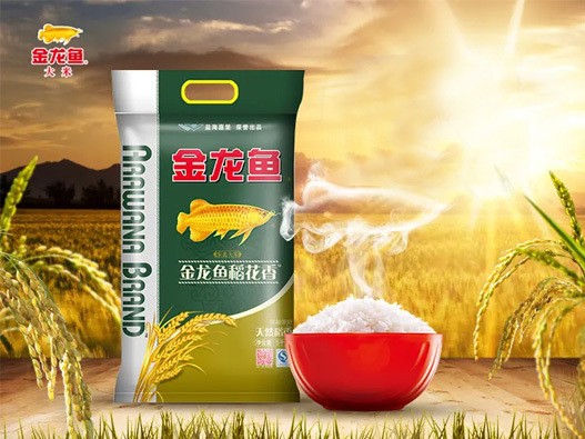 金龍魚有哪些品牌商標(biāo)名稱