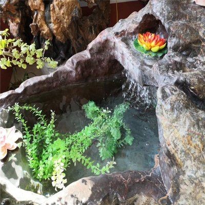 大型景觀魚缸制造廠家：多家專注于大型景觀魚缸制造的廠家