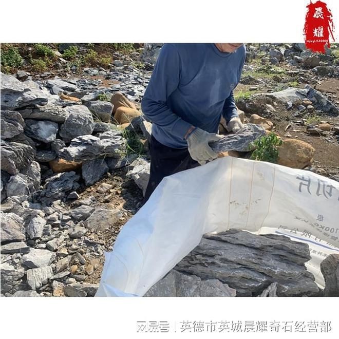 大型景觀魚缸制造廠家：多家專注于大型景觀魚缸制造的廠家