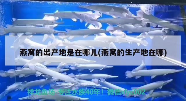 魚缸七彩燈怎么安裝的圖片(魚缸七彩燈怎么安裝的圖片教程)