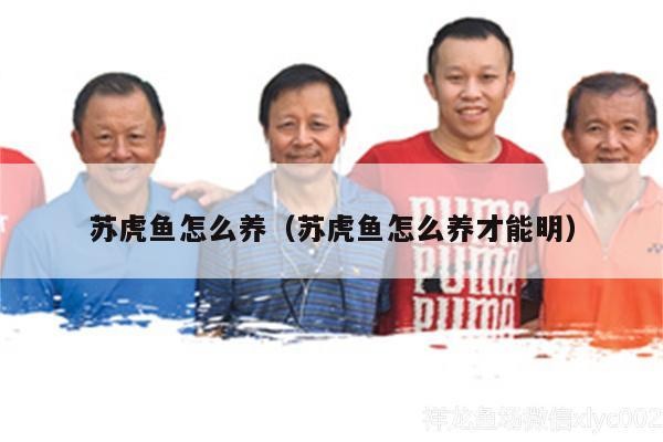 蘇虎魚怎么養（蘇虎魚怎么養才能明）
