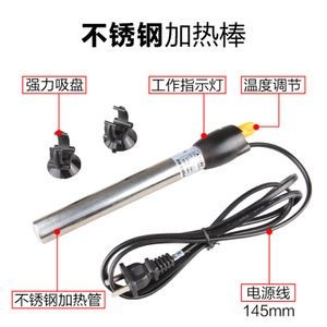 不用加溫的小型熱帶魚缸：熱帶魚養殖基礎知識