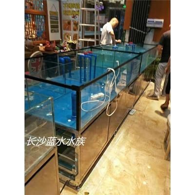 定做海鮮魚缸多少錢：如何挑選高品質海鮮魚缸