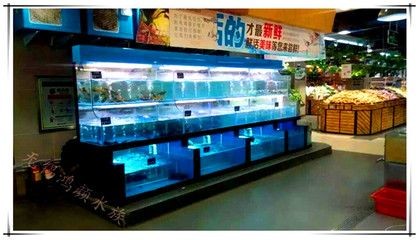 定做海鮮魚缸多少錢：如何挑選高品質海鮮魚缸