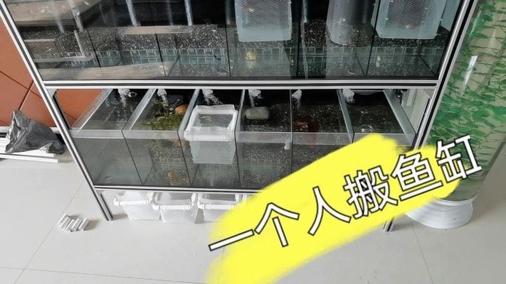 大型魚缸怎么搬運好呢：大型魚缸搬運的幾個關鍵步驟和注意事項