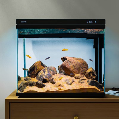 萊蕪市萊城區(qū)黨家水族館(萊蕪市萊城區(qū)黨家水族館電話) 全國水族館企業(yè)名錄 第1張 萊蕪市萊城區(qū)黨家水族館(萊蕪市萊城區(qū)黨家水族館電話) 萊蕪市萊城區(qū)黨家水族館(萊蕪市萊城區(qū)黨家水族館電話) 全國水族館企業(yè)名錄 第1張