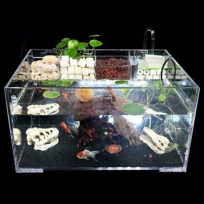 大魚缸適合養小魚嗎：大魚缸的尺寸選擇魚缸的尺寸選擇魚缸養小魚的重要因素