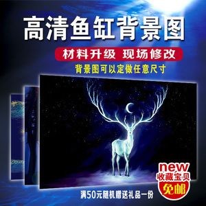 白底黑背景魚缸養金龍：白底黑背景的魚缸是一個不錯的選擇來養金龍魚的設計