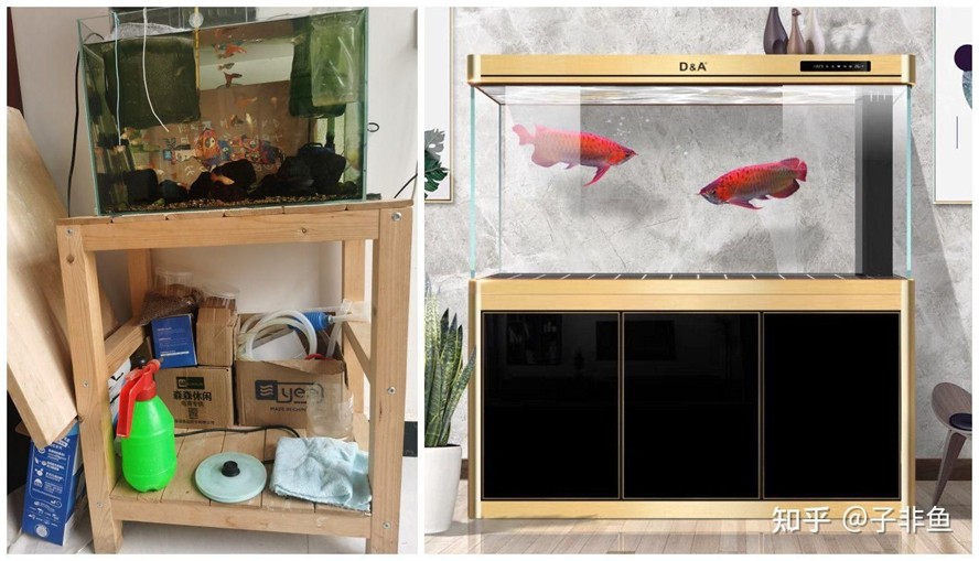 動森魚缸家具：《集合啦！動物森友會》家具diy秘籍