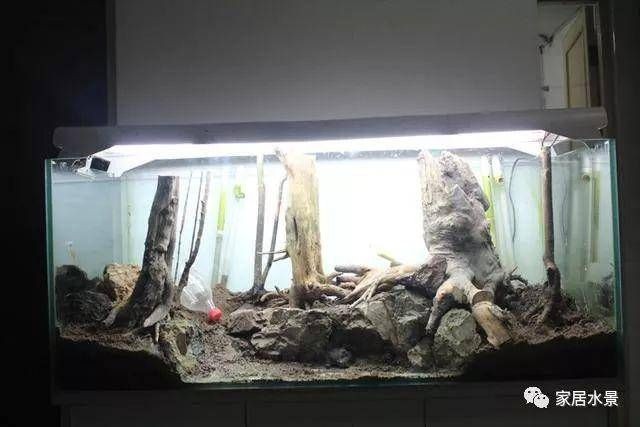沉木對魚缸有什么用：沉木對魚缸的作用