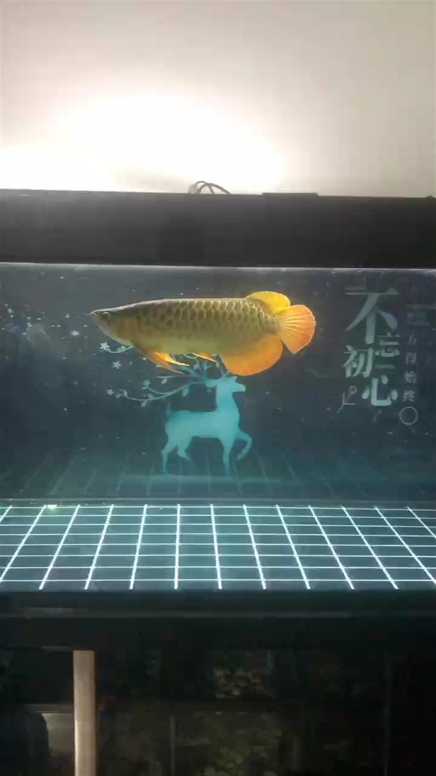 狀態如何