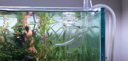 鄰水縣新天地水族店（鄰水縣新天地水族店電話）