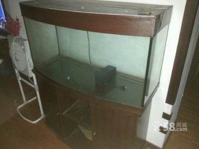 邊包底魚缸里面還用打玻璃膠嗎視頻：邊包底魚缸里面還用打玻璃膠嗎