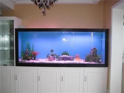 大型觀賞魚缸的價格：大型觀賞魚缸價格
