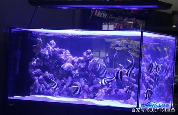 慶城縣田園風情水族館（慶城縣田園風情水族館電話）