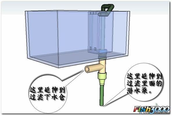 大魚缸小魚缸連接