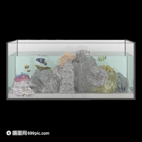 1.50.50.5米的魚缸：1.5