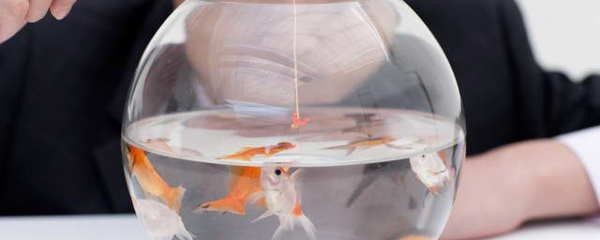 財位放魚缸好不好風水怎么看：魚缸養(yǎng)魚的風水注意事項