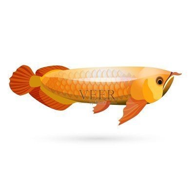 龍魚上色