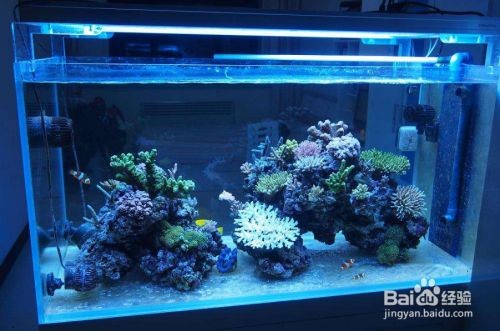 博雅水族魚缸兩側(cè)濾芯怎么換視頻：博雅水族魚缸兩側(cè)濾芯怎么換