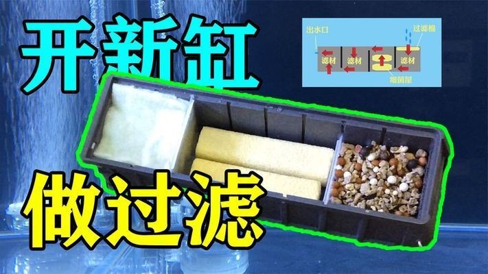 大蘇打魚缸怎么用好看視頻：大蘇打在養(yǎng)魚方面的應(yīng)用