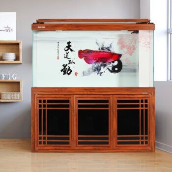 1米8魚缸養幾條龍魚合適：1米8魚缸養幾條龍魚合適1米8魚缸養幾條龍魚合適