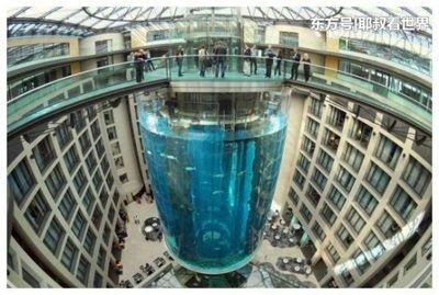 大魚缸搬運 大魚缸搬運 魚缸百科 第4張