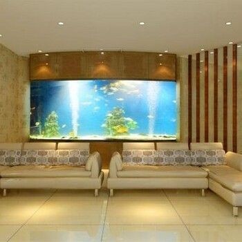 辦公室魚缸正對門口擺放好嗎：辦公室魚缸正對門口擺放是否合適